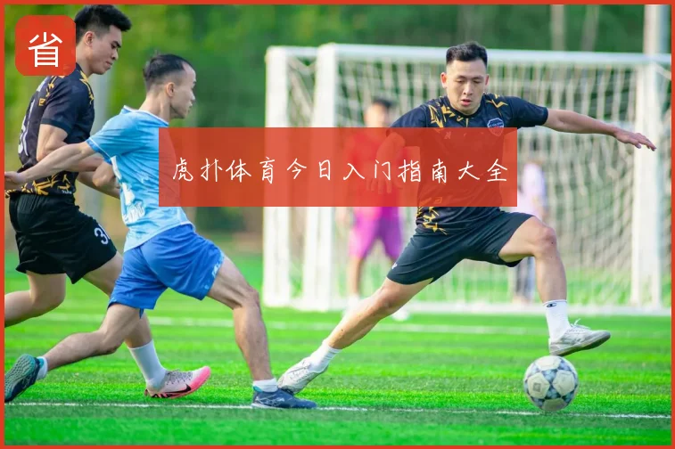 虎扑体育今日入门指南大全